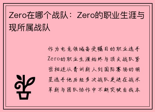 Zero在哪个战队：Zero的职业生涯与现所属战队