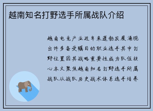 越南知名打野选手所属战队介绍